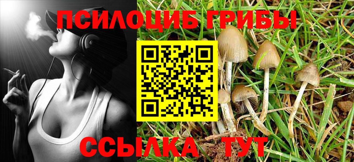 Галлюциногенные грибы MAGIC MUSHROOMS Ковров