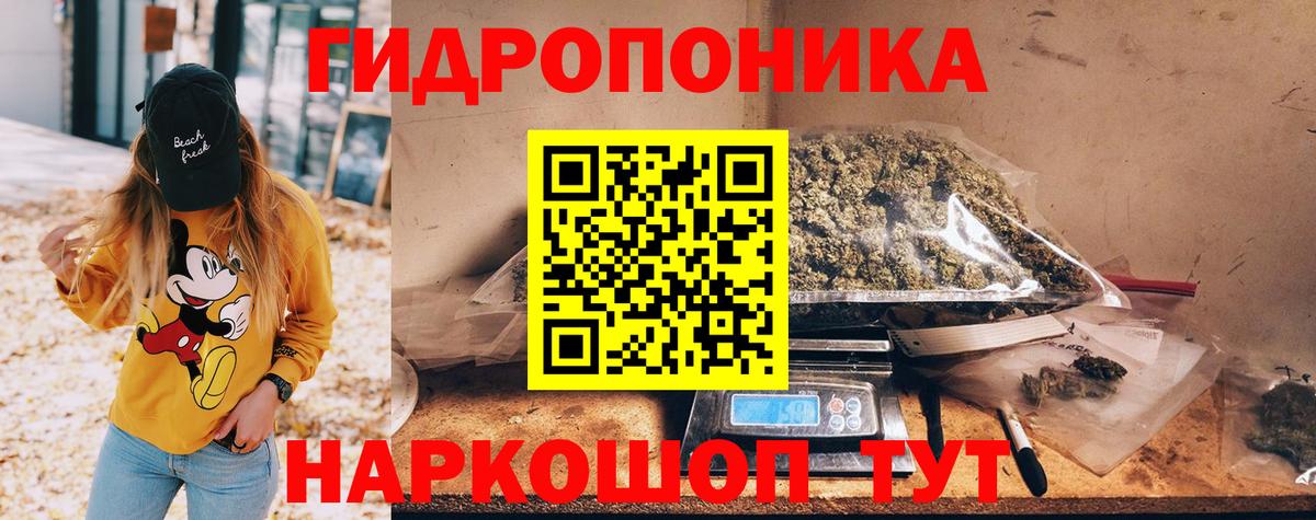 Бошки Шишки планчик  Вход с VPN  Ковров  Шишки марихуана конопля  Марихуана гибрид 