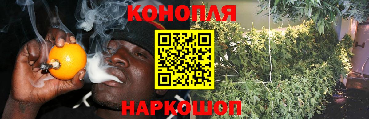 Марихуана конопля Ковров